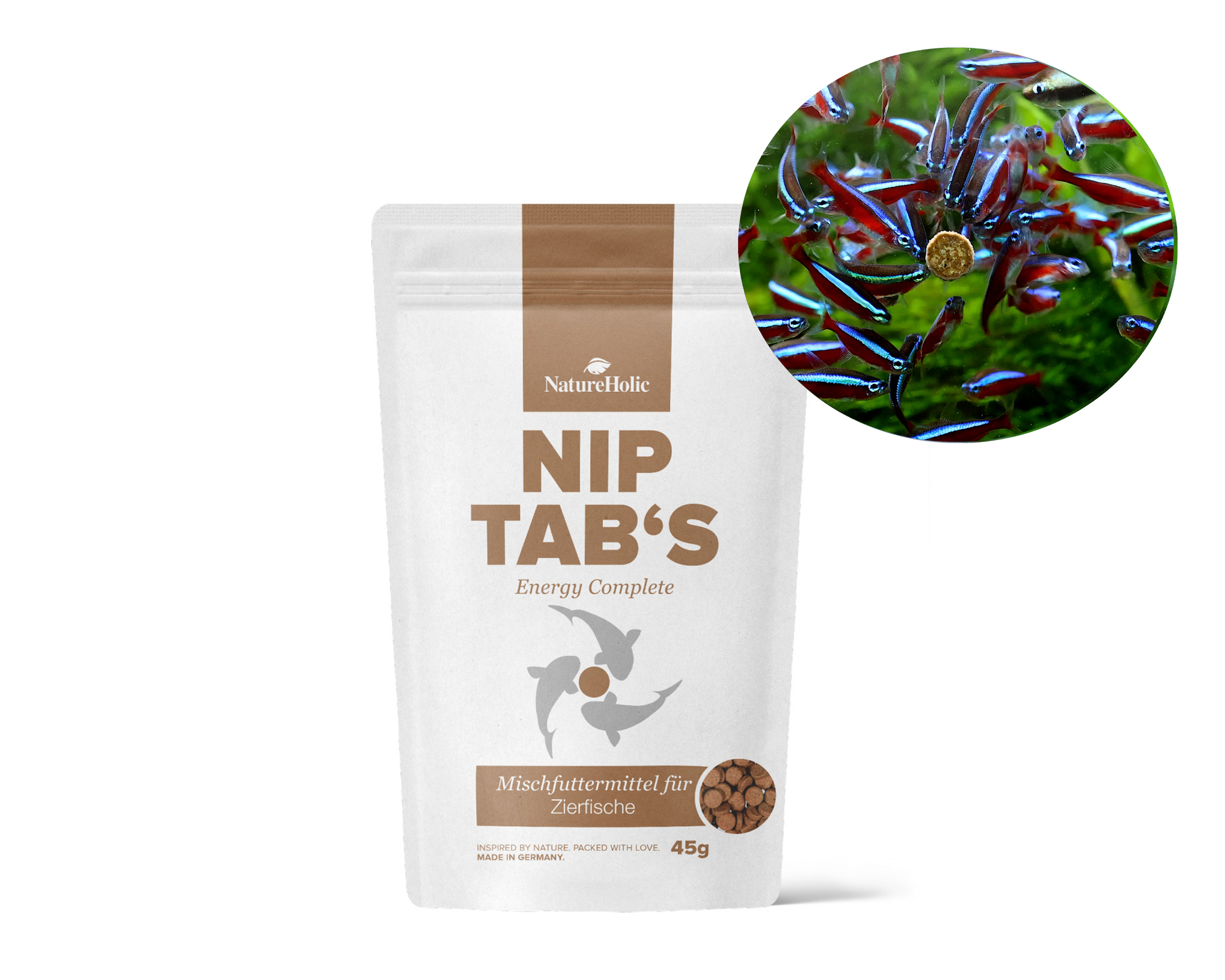Neonfische fressen NIP TAB'S Futtertabletten